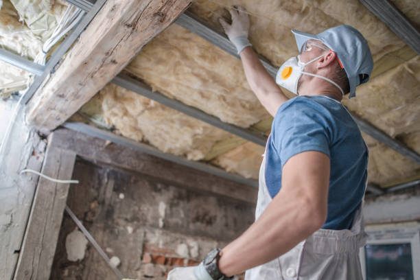 Best Wall Insulation Contractor  in Lyncourt, NY