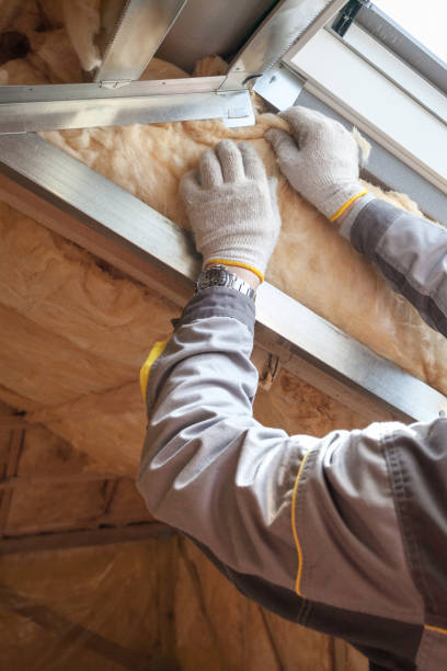 Best Professional Insulation Contractor  in Lyncourt, NY