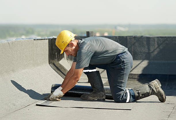 Best Home Insulation Services  in Lyncourt, NY